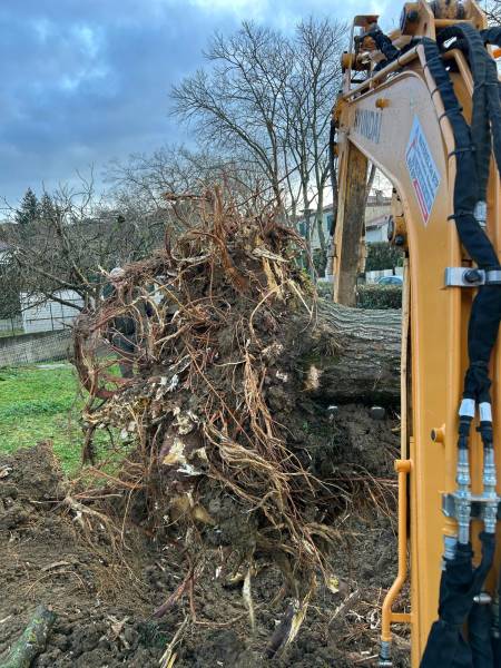 Terrassement mini pelle à Toulouse