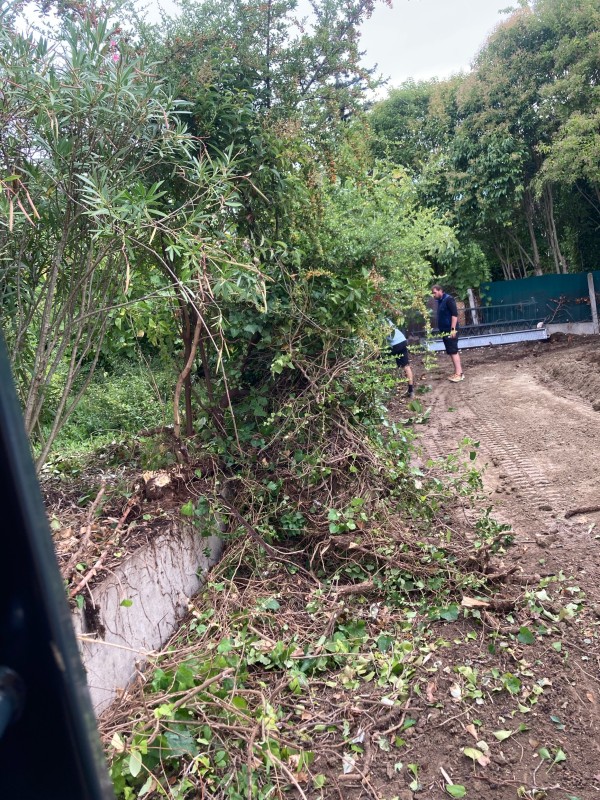 Travaux de terrassement à Saint-Geniès-Bellevue proche de l'union avec enlèvement grillage, arrachage racines, évacuation végétaux en benne spécialisée